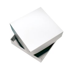 100 Tortenkartons mit Deckel, Pappe eckig  30 x 30 x 4,5 cm blanko