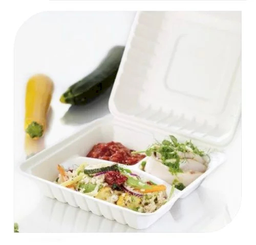 Bio raviers menu 3-comp. 236x231x81mm canne à sucre, blanc, avec couvercle fixe