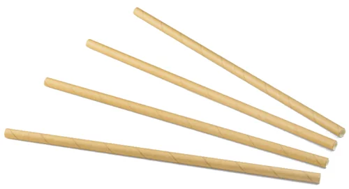 Pailles kraft papier 20cmx6m ROOTS