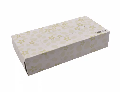 Facial tissue 21x20cm 2-lgs wit