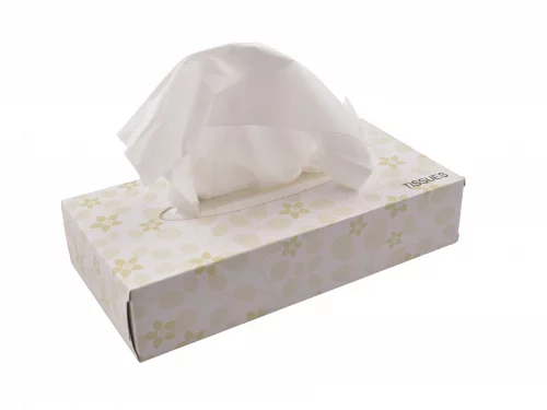 Facial tissue 21x20cm 2-lgs wit