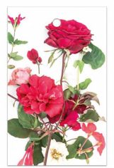 Bloemkaartje 60x95mm blanco Red Roses