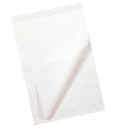 Papier pour paperboard 65x100cm 80g côté uni, côté quadrillé