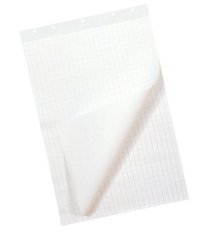 Flipoverpapier 65x100cm 80grs zijde blanco, zijde geruit